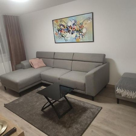 Popasu Din Oras Appartement Baia Mare Buitenkant foto