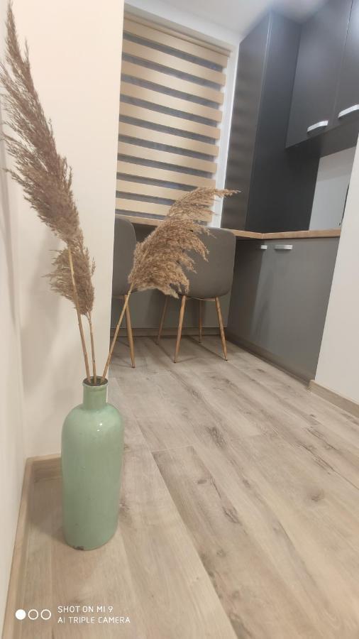Popasu Din Oras Appartement Baia Mare Buitenkant foto
