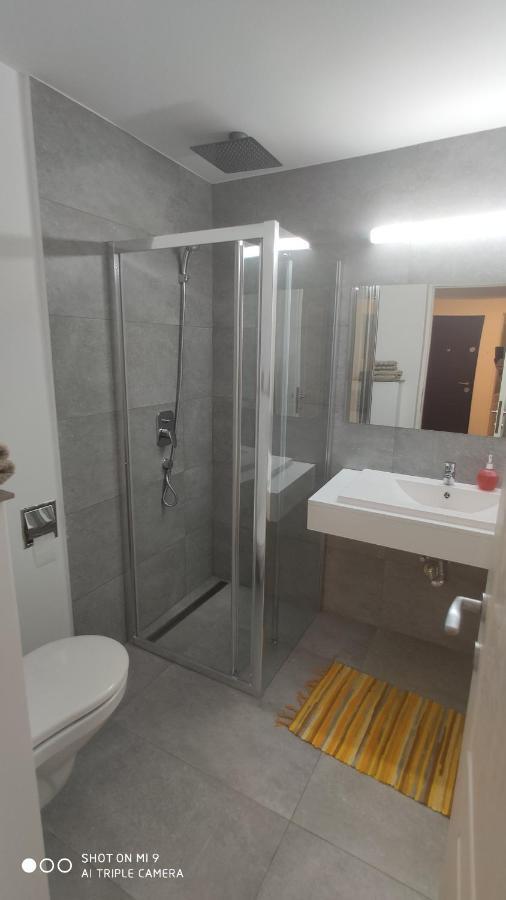 Popasu Din Oras Appartement Baia Mare Buitenkant foto