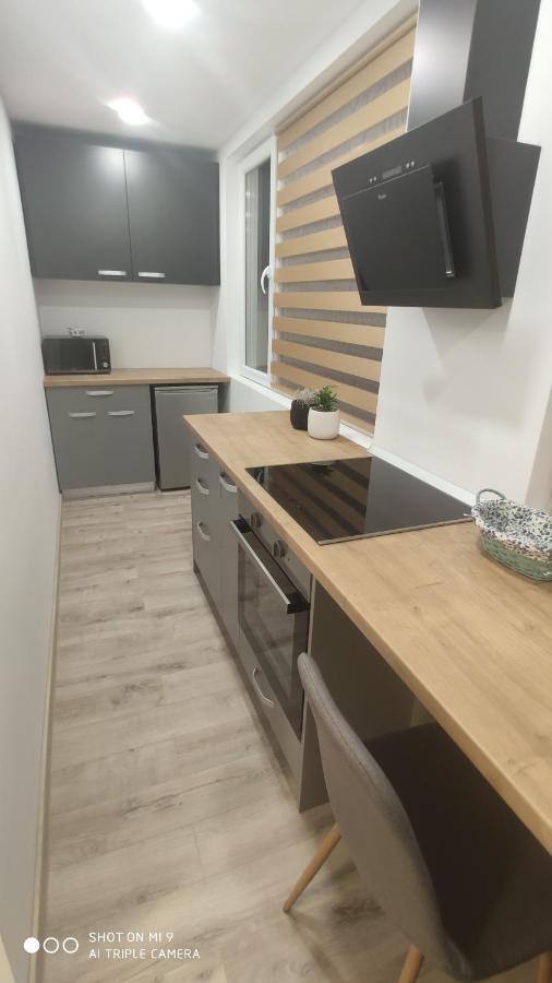 Popasu Din Oras Appartement Baia Mare Buitenkant foto
